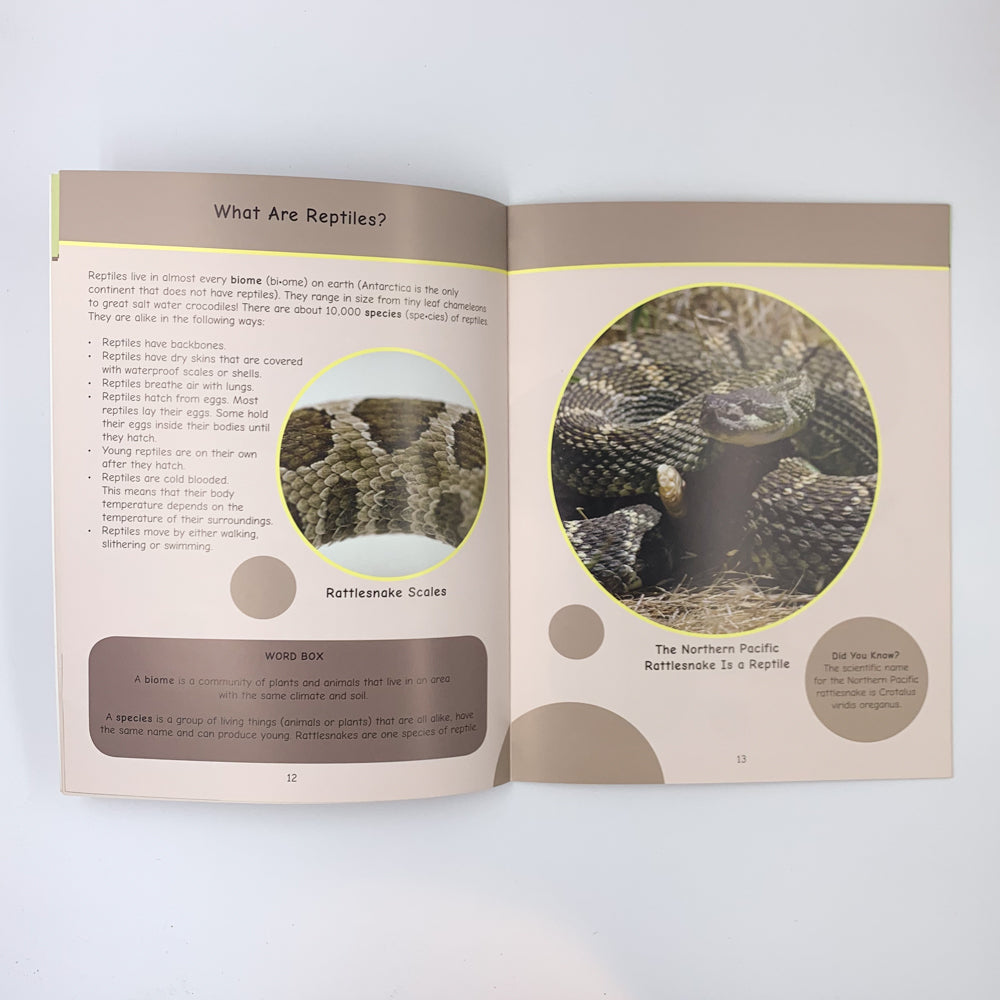 We Are All Connected: Nlaka'pamux, Dry Grasslands and Rattlesnakes - John Haugen, Brenda Boreham & Terri Mack