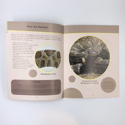 We Are All Connected: Nlaka'pamux, Dry Grasslands and Rattlesnakes - John Haugen, Brenda Boreham & Terri Mack