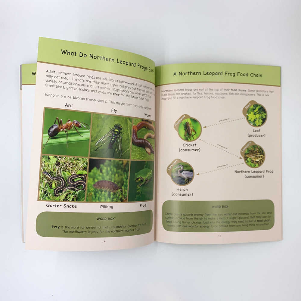 We Are All Connected: Nisga'a, Ponds and Leopard Frogs - Brenda Boreham, Terri Mack & Charmaine Peal