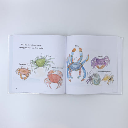 Scuttley Buddies - Breanna McMahon-Choo (Hardcover)