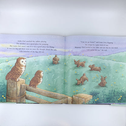 Little Owl - Piers Harper