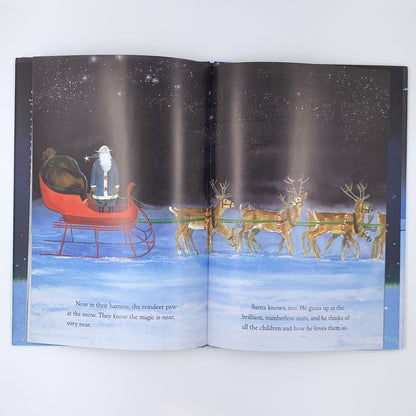 The Christmas Magic - Lauren Thompson & Jon J. Muth