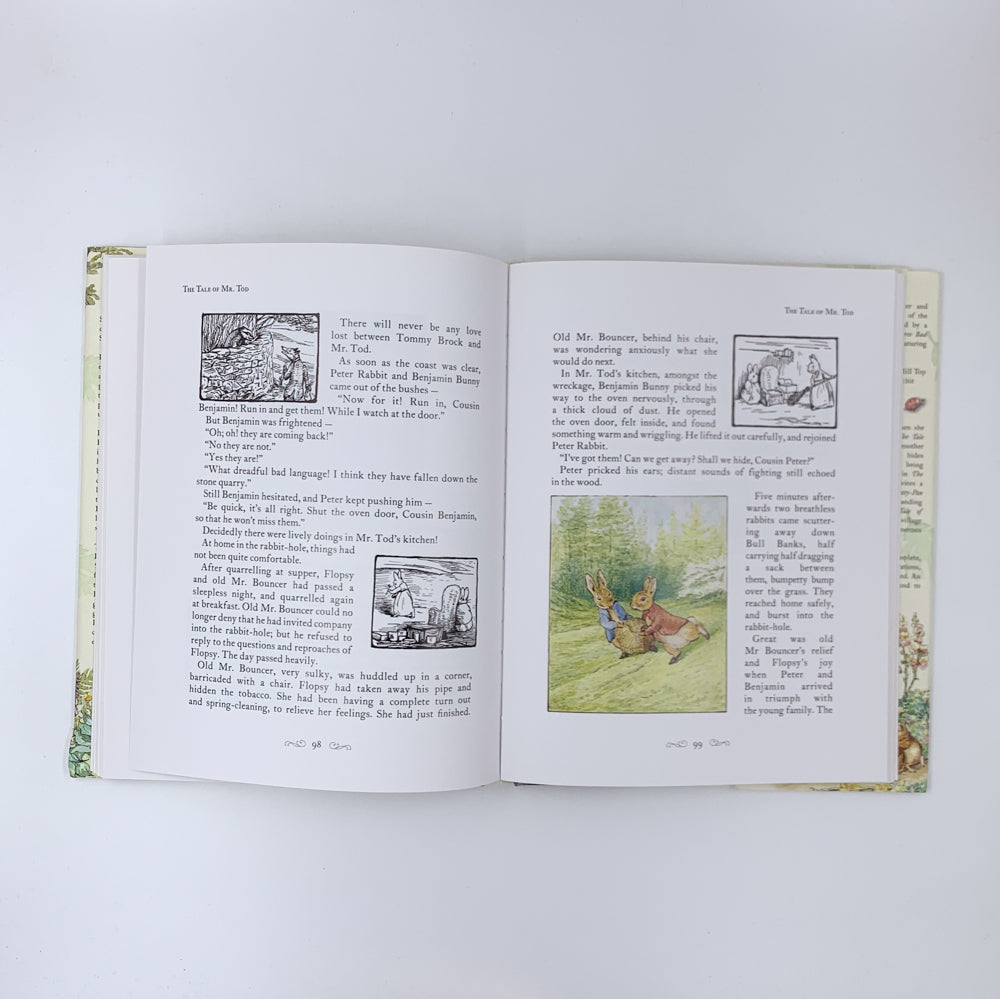 A Beatrix Potter Treasury - Beatrix Potter