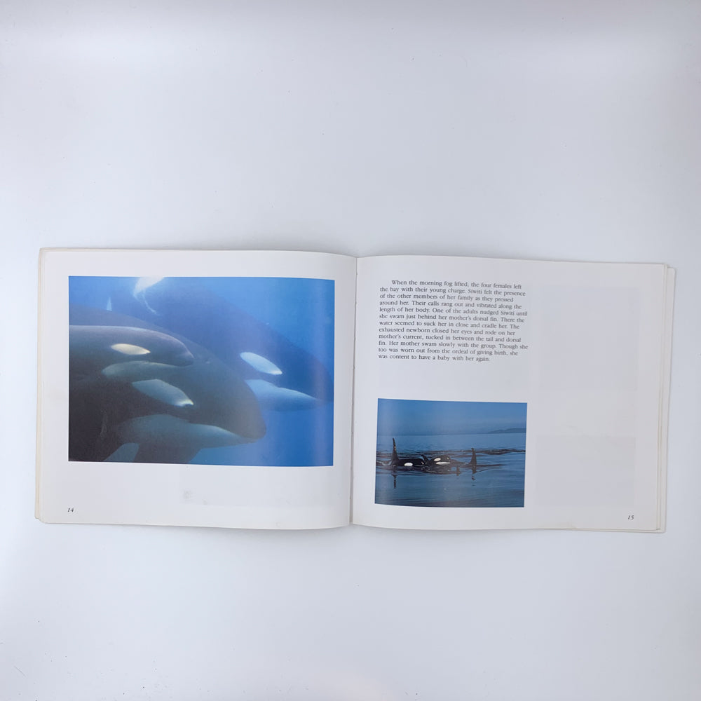 Siwiti, A Whale's Story - Alexandra Morton