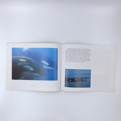 Siwiti, A Whale's Story - Alexandra Morton