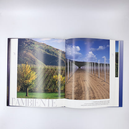 Valdobbiadene. Terra felice - Andrea Zanzotto, Giovanni Comisso and others