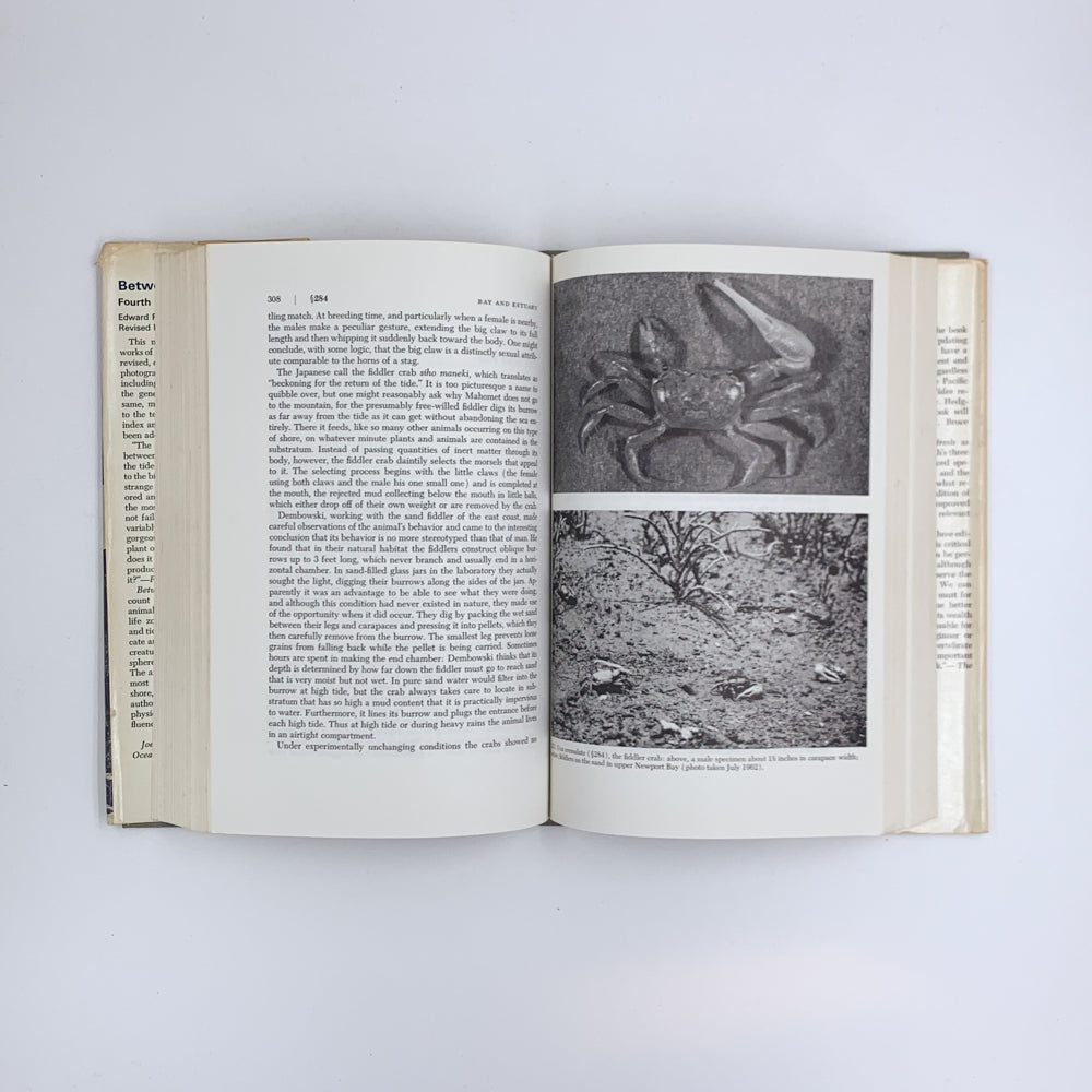 Between Pacific Tides (Fourth Edition) - Edward Ricketts & Jack Calvin