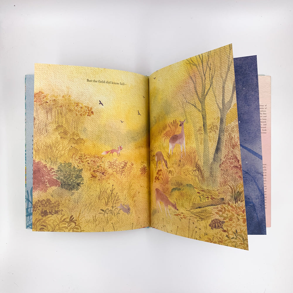 Emile and the Field - Kevin Young & Chioma Ebinama