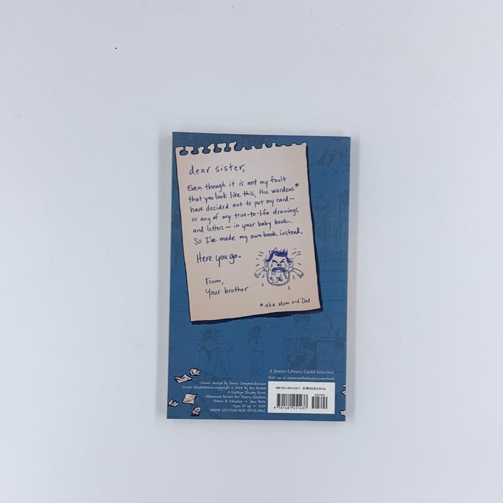 Dear Sister - Alison McGhee & Joe Bluhm