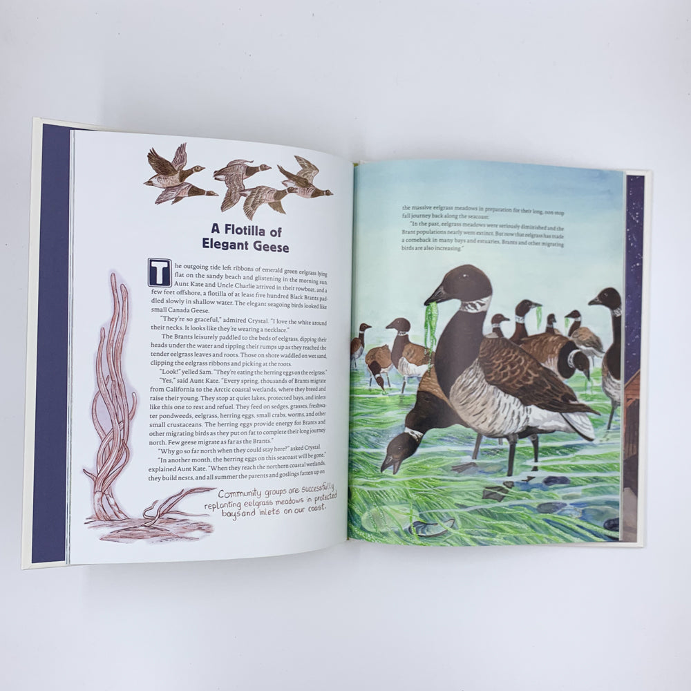 Explore the Eelgrass Meadow with Sam and Crystal - Gloria Snively & Karen Gillmore