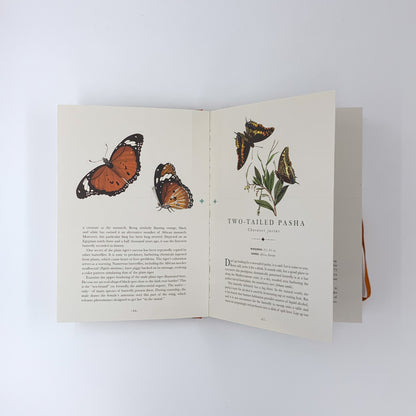 Paperscapes: The Butterfly Garden - James Lowen