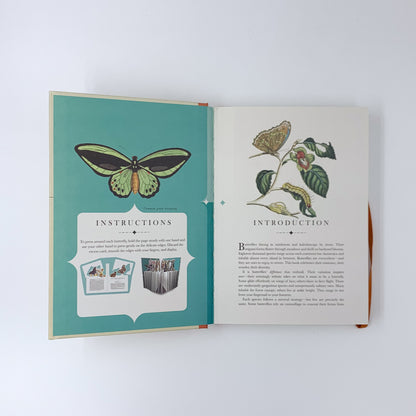 Paperscapes: The Butterfly Garden - James Lowen