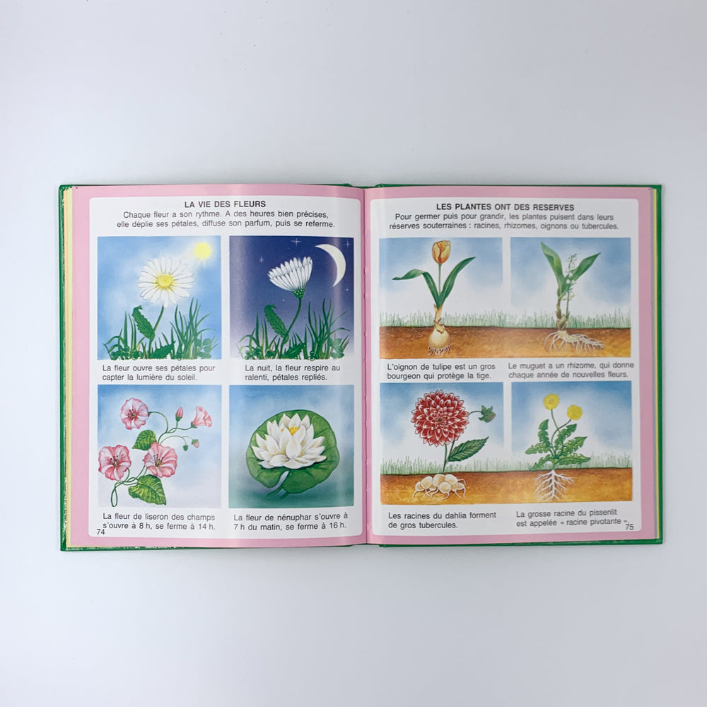 L'imagerie de la Nature - Émilie Beaumont et Marie-Renée Pimont