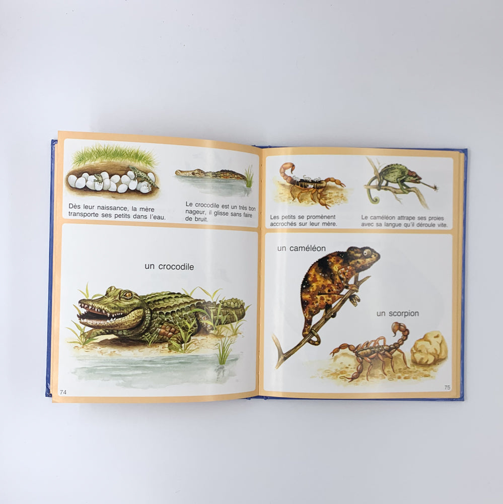 L'imagerie des Animaux - Émilie Beaumont