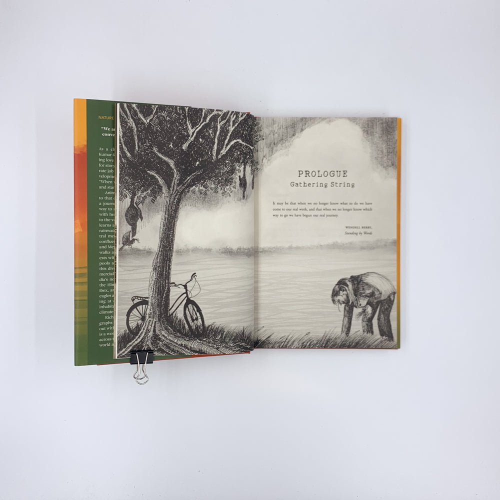 Marginlands: A Journey into India’s Vanishing Landscapes - Arati Kumar-Rao