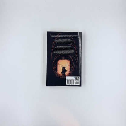 Coucher de soleil : un conte de fées d'un autre monde - Jack Barrie