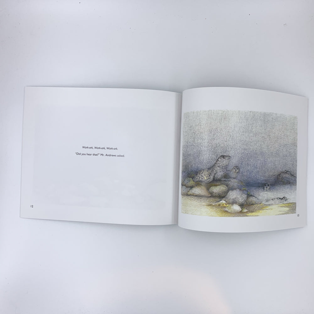 Who Took The Ocean Away ? - Lorraine Murray