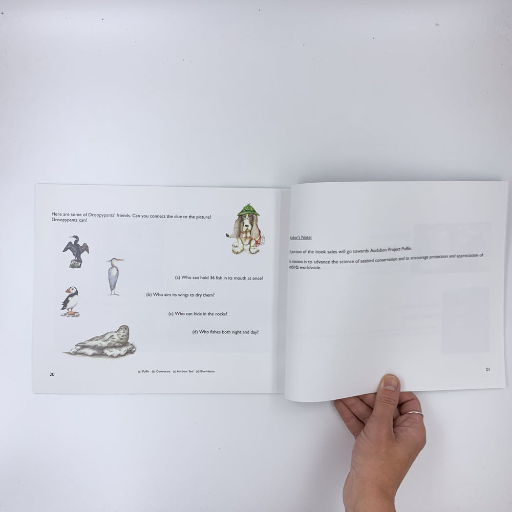 Who Took The Ocean Away ? - Lorraine Murray