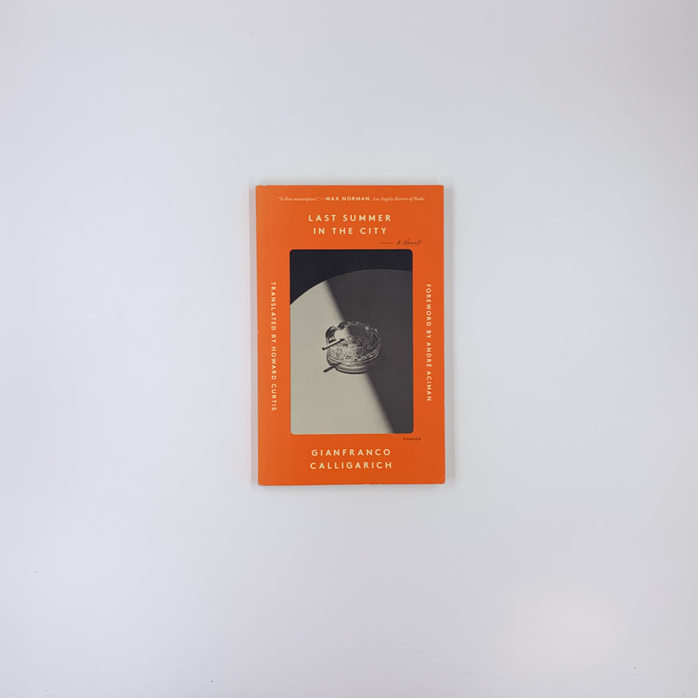 Last Summer in the City - Gianfranco Calligarich