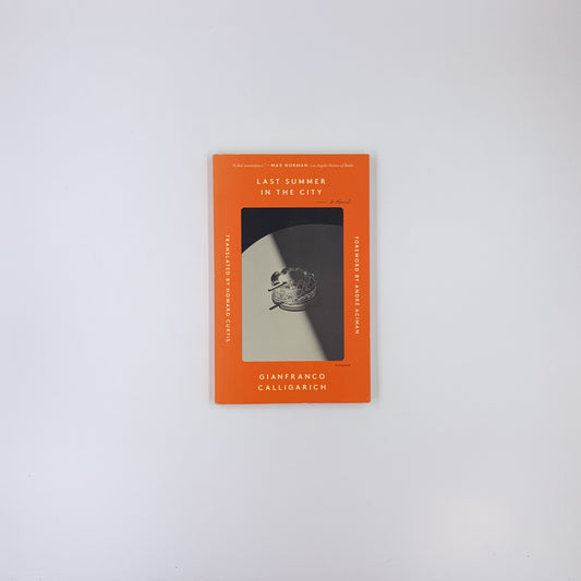 Last Summer in the City - Gianfranco Calligarich