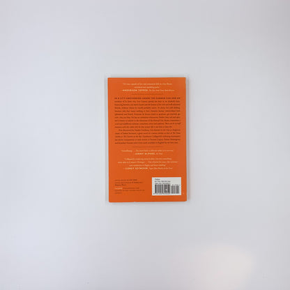 Last Summer in the City - Gianfranco Calligarich