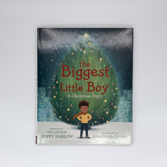 The Biggest Little Boy: A Christmas Story - Poppy Harlow & R. Kaulitzki