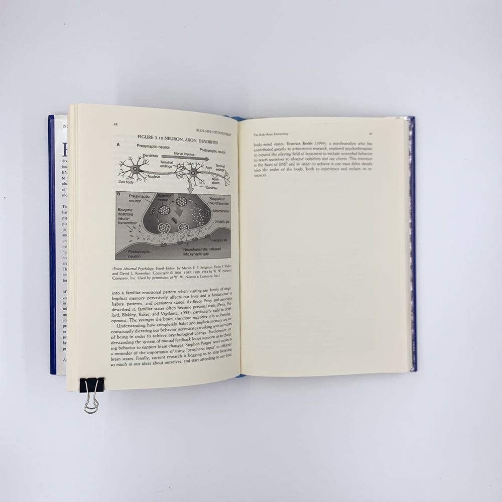 Body-Mind Psychotherapy: Principles, Techniques, and Practical Applications - Susan Aposhyan