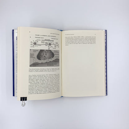 Body-Mind Psychotherapy: Principles, Techniques, and Practical Applications - Susan Aposhyan