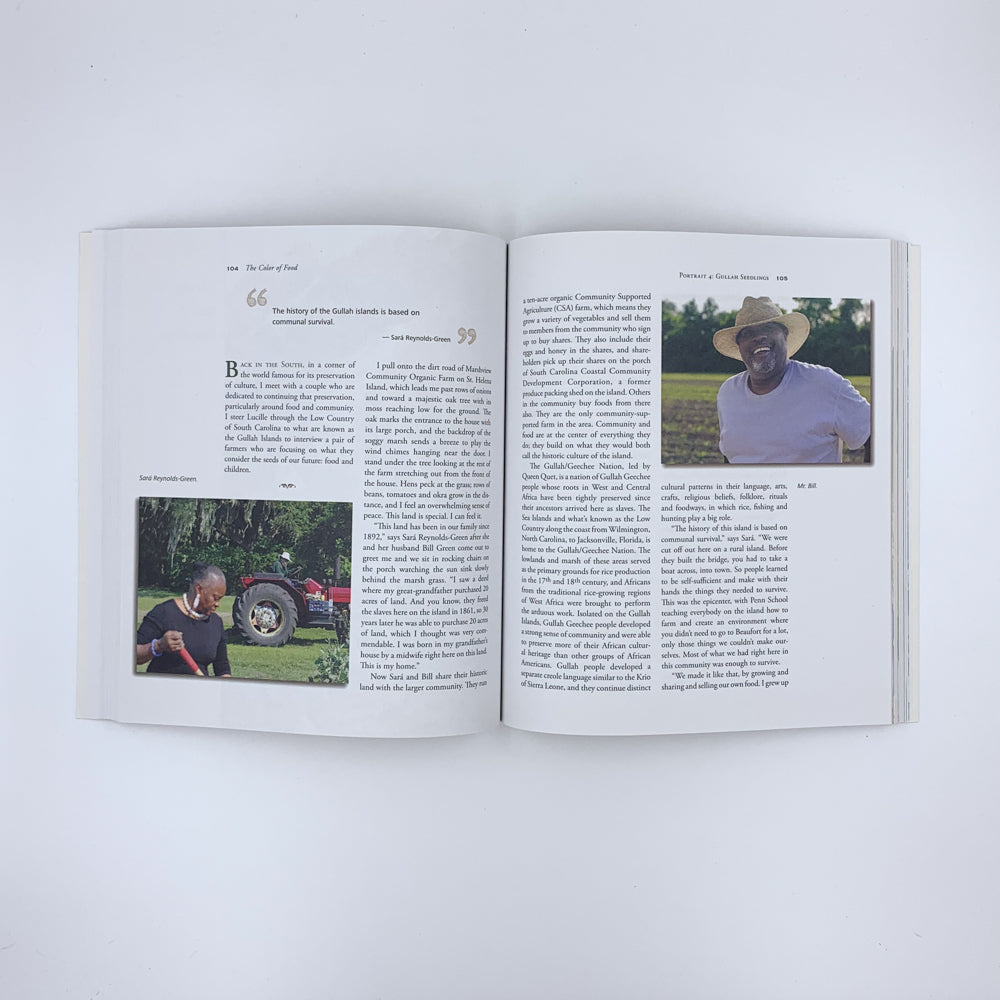 The Color of Food: Stories of Race, Resilience and Farming - Natasha Bowens