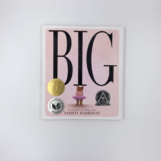 Big - Vashti Harrison