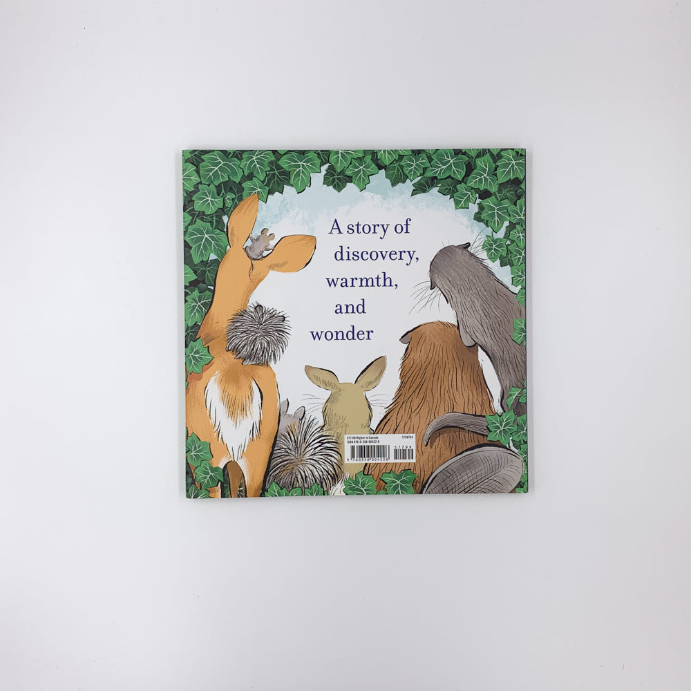 Lost and Found - Kate Banks & Galia Bernstein