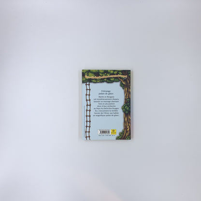 La cabane magique T.27 : L'étrange palais de glace - Mary Osborne