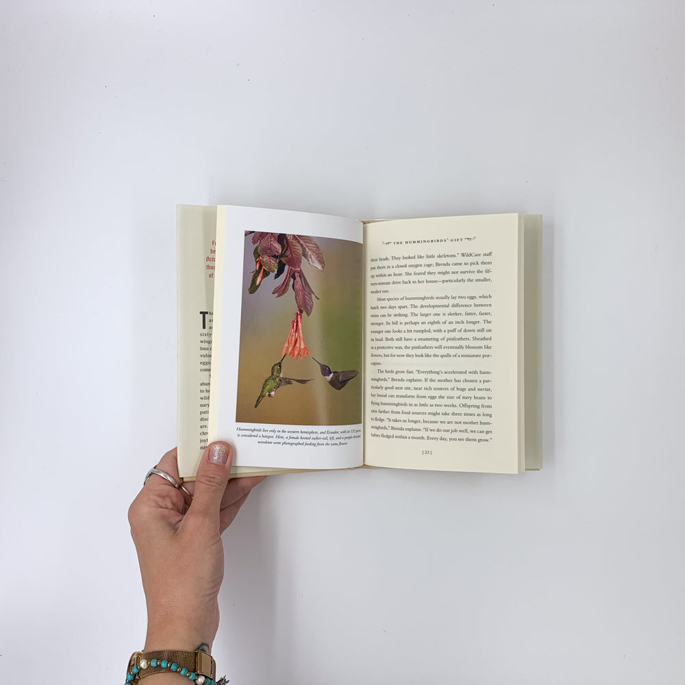 The Hummingbirds' Gift: Wonder, Beauty, and Renewal on Wings - Sy Montgomery