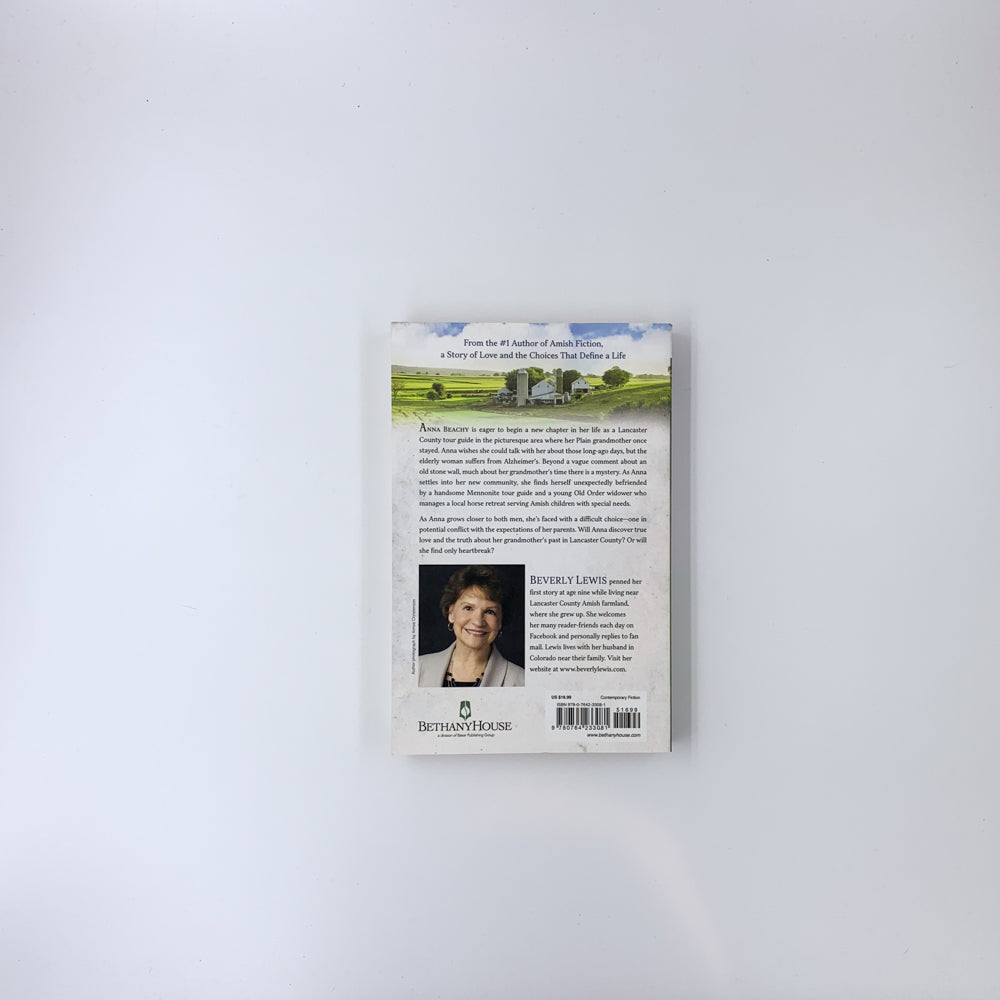 The Stone Wall - Beverly Lewis