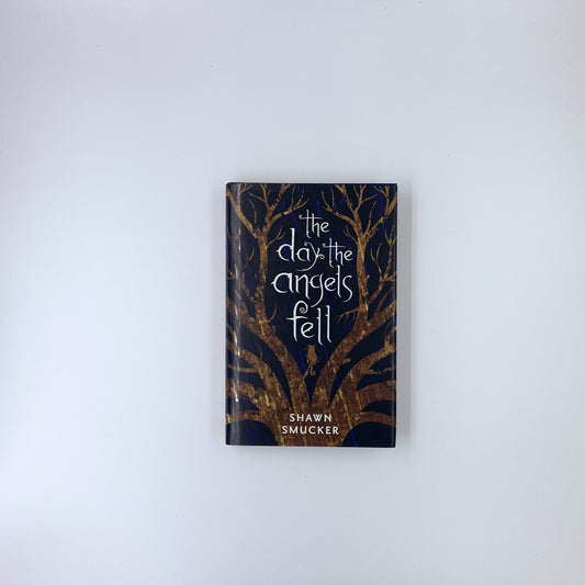 The Day the Angels Fell - Shawn Smucker