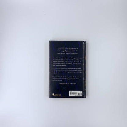 The Day the Angels Fell - Shawn Smucker