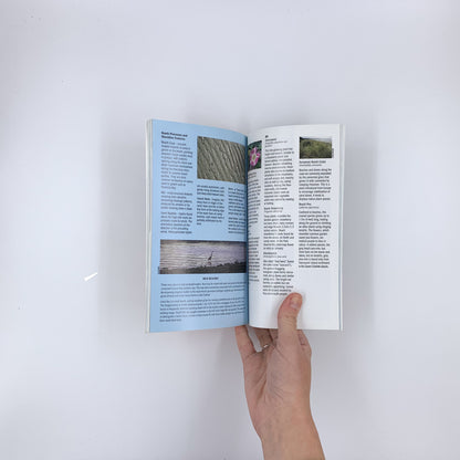 Official Guide to Pacific Rim National Park Reserve - J. M. MacFarlane