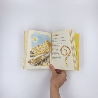 Le mystère de la pyramide de fromage - Geronimo Stilton