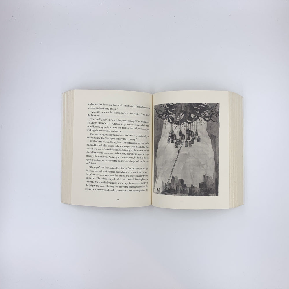 Wildwood - Colin Meloy & Carson Ellis