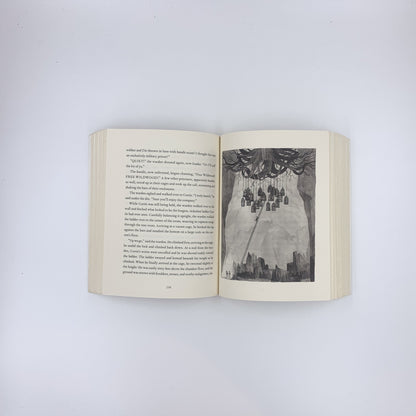 Wildwood - Colin Meloy & Carson Ellis