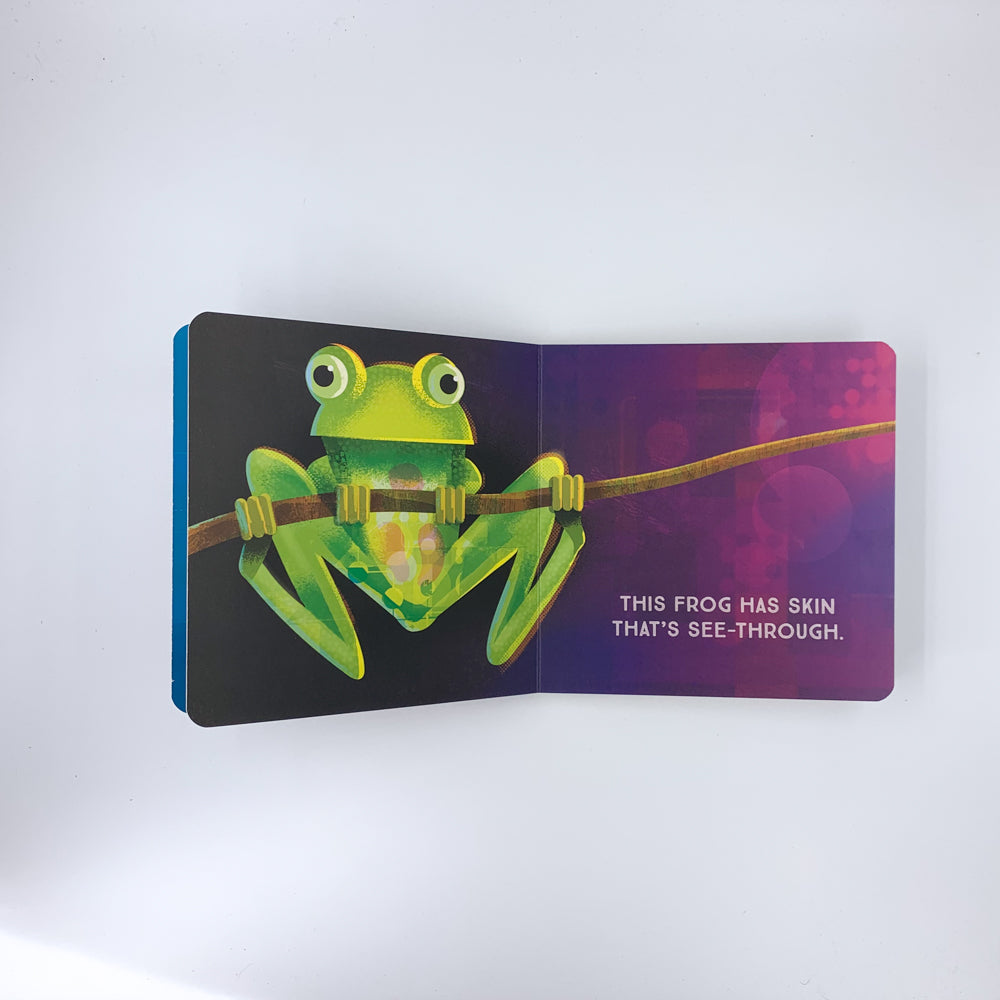 Odd Beasts: Meet Nature's Weirdest Animals - Laura Gehl & Gareth Lucas