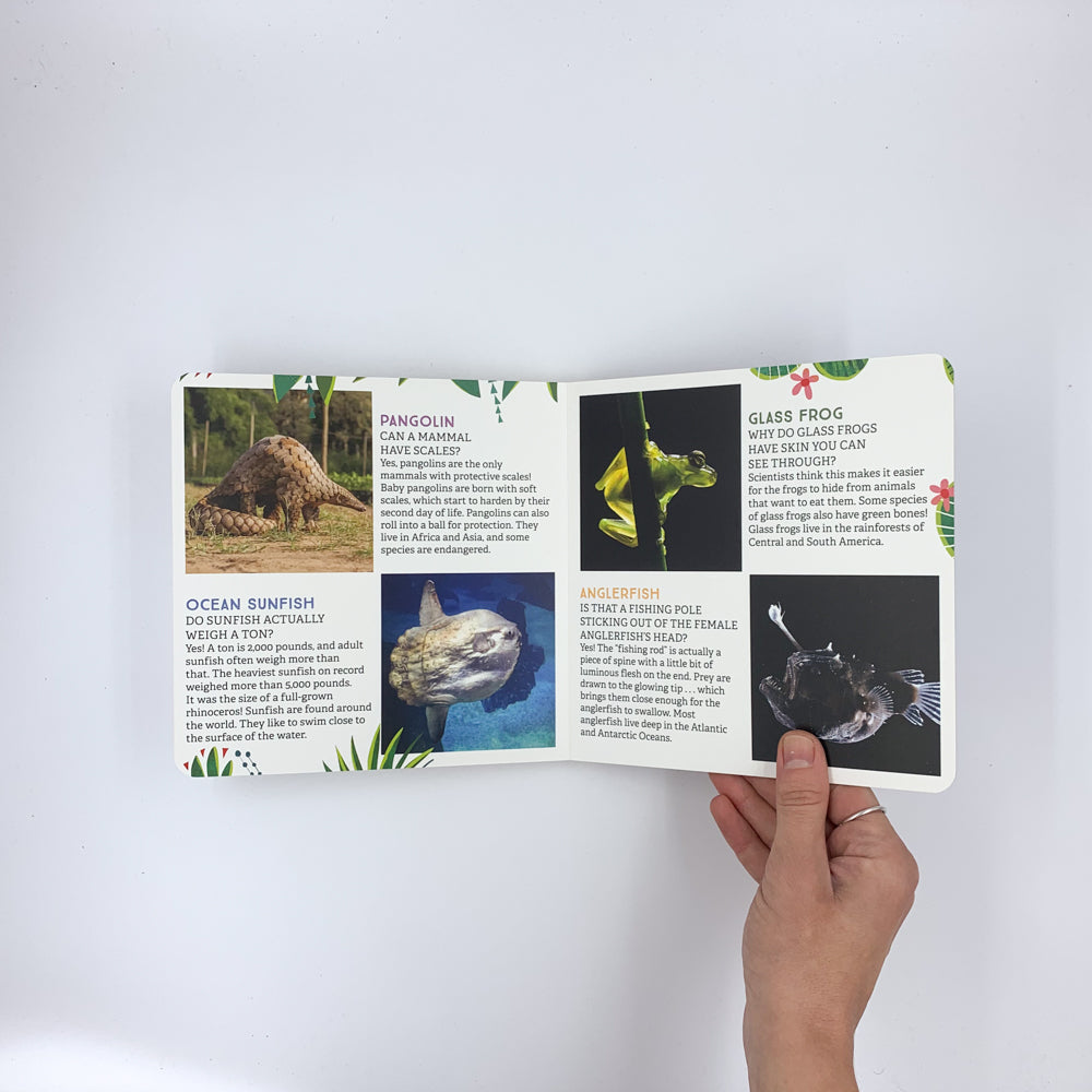 Odd Beasts: Meet Nature's Weirdest Animals - Laura Gehl & Gareth Lucas