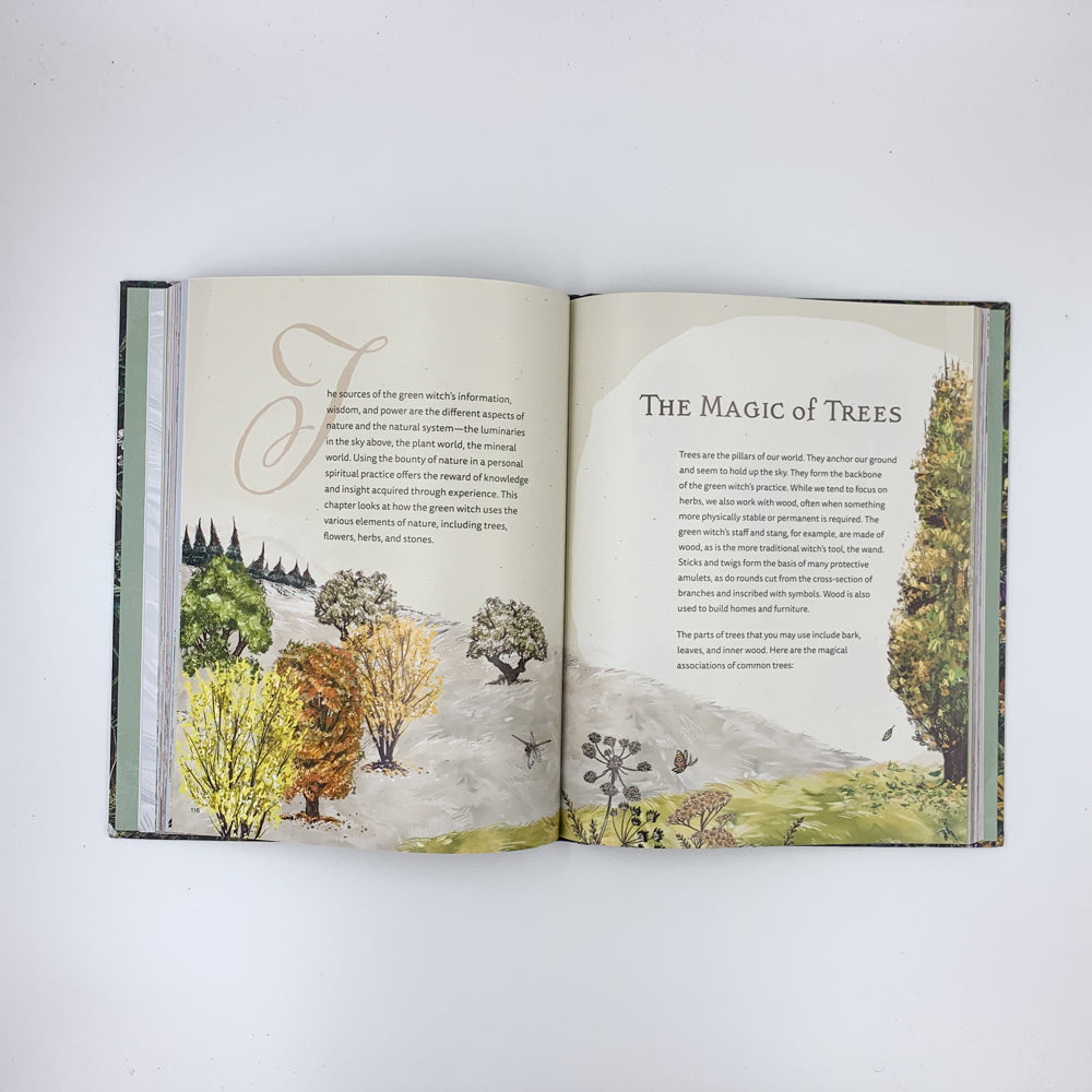 The Green Witch Illustrated: An Enchanting Immersion Into the Magic of Natural Witchcraft - Arin Murphy-Hiscock & Sara Richard