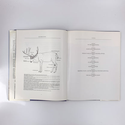 Mule Deer Country - Valerius Geist