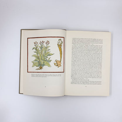 Nicotiana Tabacum, the History of Tobacco and Tobacco Smoking in the Netherlands - Georg A. Brongers