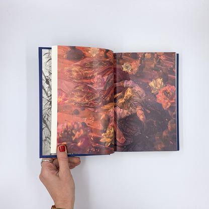 Yumi and the Nightmare Painter - Brandon Sanderson & Aliya Chen (Dragonsteel Edition)