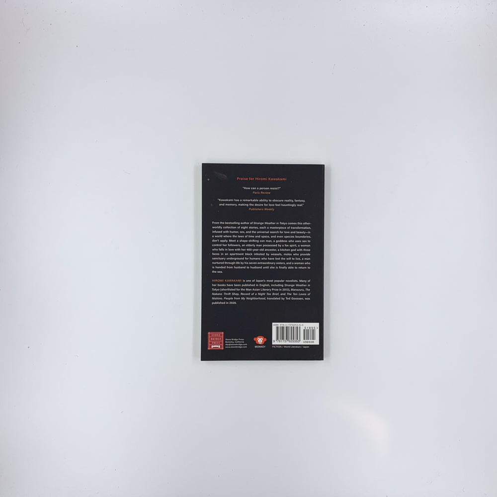 Dragon Palace - Hiromi Kawakami