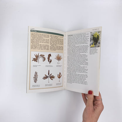 Kelp Forests - Judith Connor & Charles Baxter