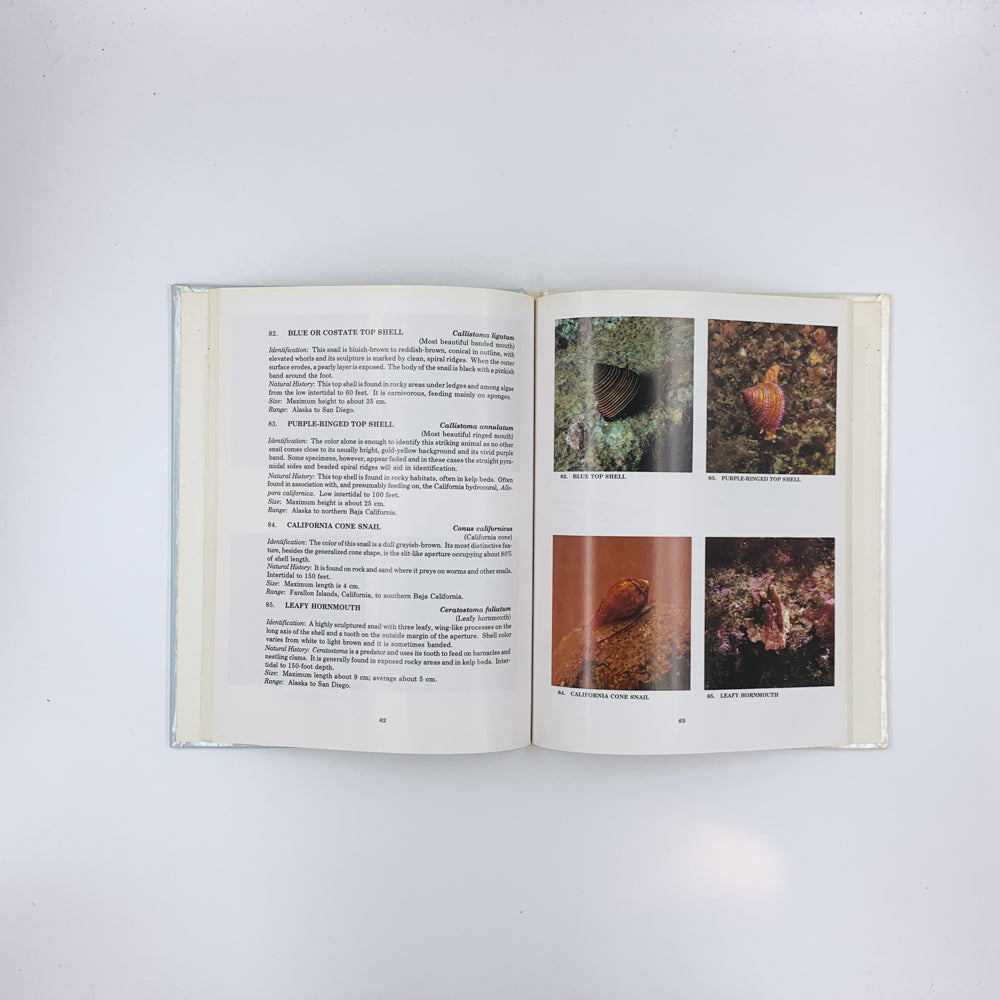 Pacific Coast Subtidal Marine Invertebrates: A Fishwatcher's Guide - Daniel W. Gotshall & Laurence L. Laurent