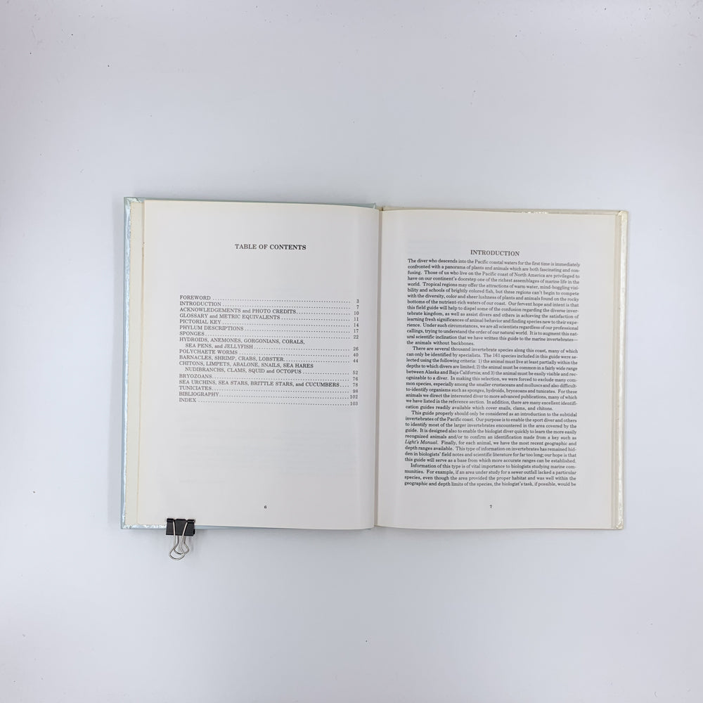 Pacific Coast Subtidal Marine Invertebrates: A Fishwatcher's Guide - Daniel W. Gotshall & Laurence L. Laurent